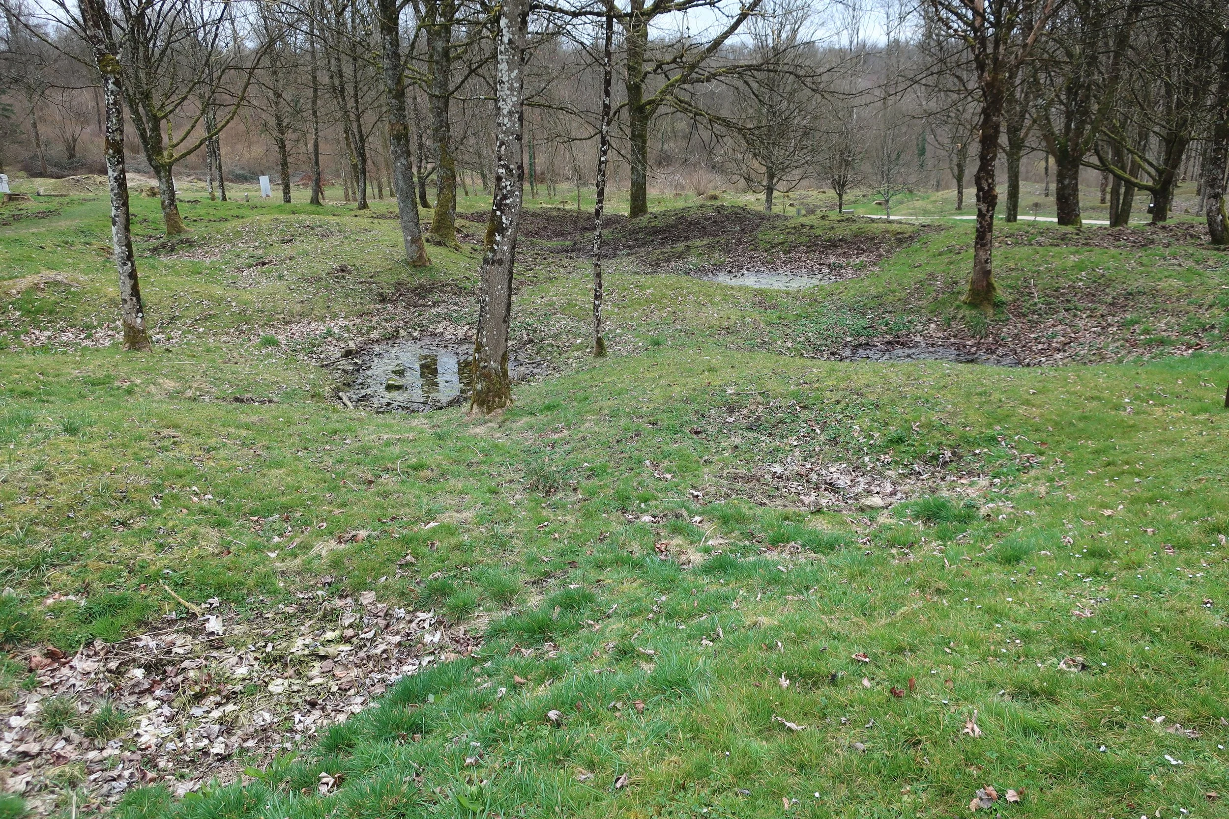  Verdun, France March, 2025--The obliterated town of Fluery, by heavy artilleray (up to 420mm (16 inch diameter) shells).  These are the craters left yet from 100 years ago 