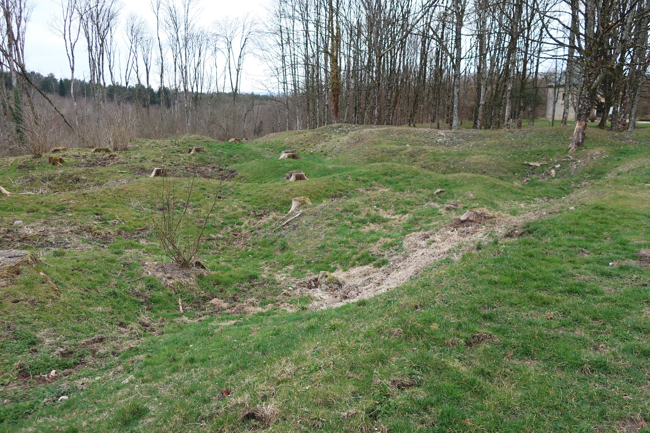  Verdun, France March, 2025--The obliterated town of Fluery, by heavy artilleray (up to 420mm (16 inch) diameter shells).  These are the craters left yet from 100 years ago 