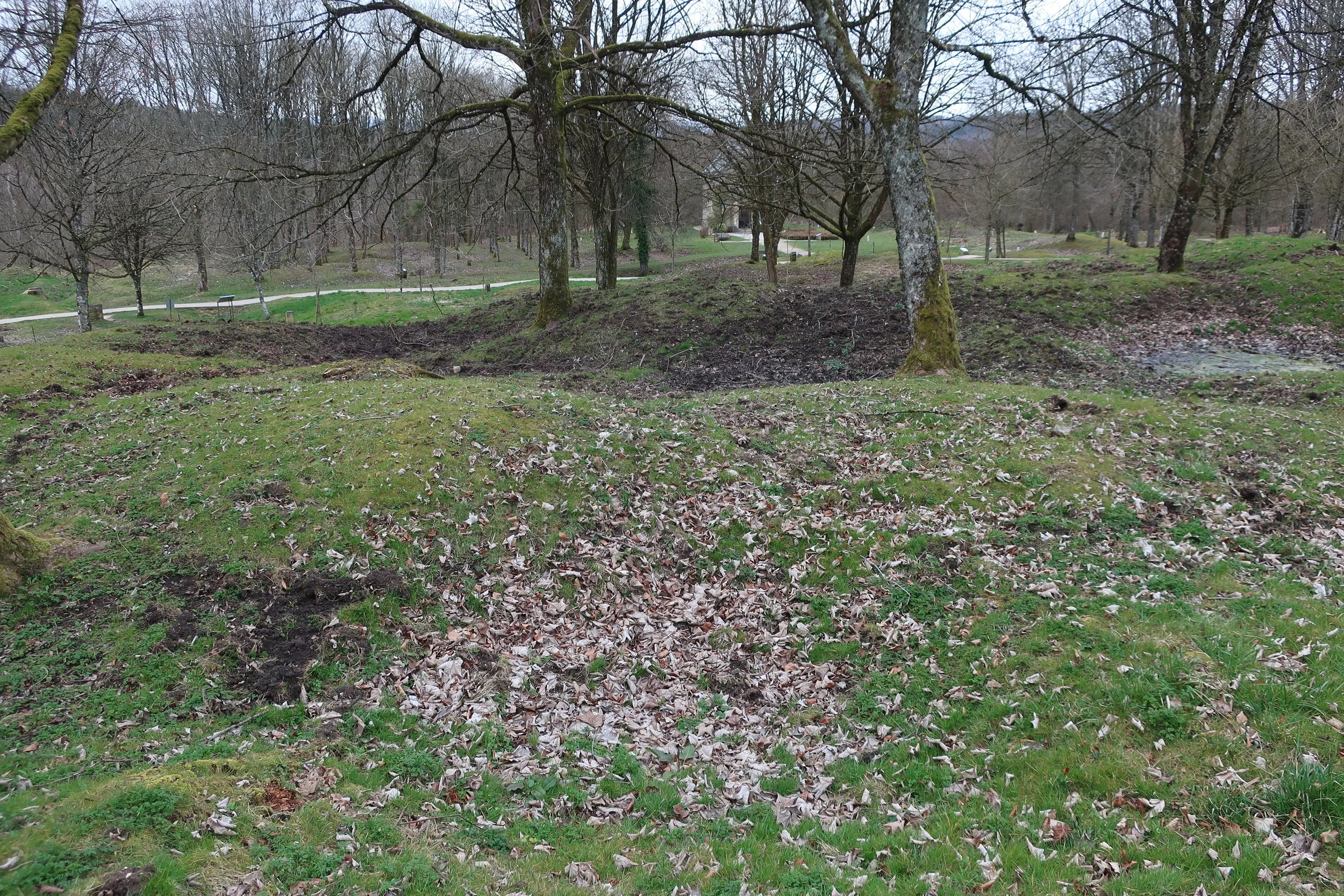  Verdun, France March, 2025--The obliterated town of Fluery, by heavy artilleray (up to 420mm (16 inch diameter)  shells).  These are the craters left yet from 100 years ago where soldiers tried to protect themselves during the battle (the longest in