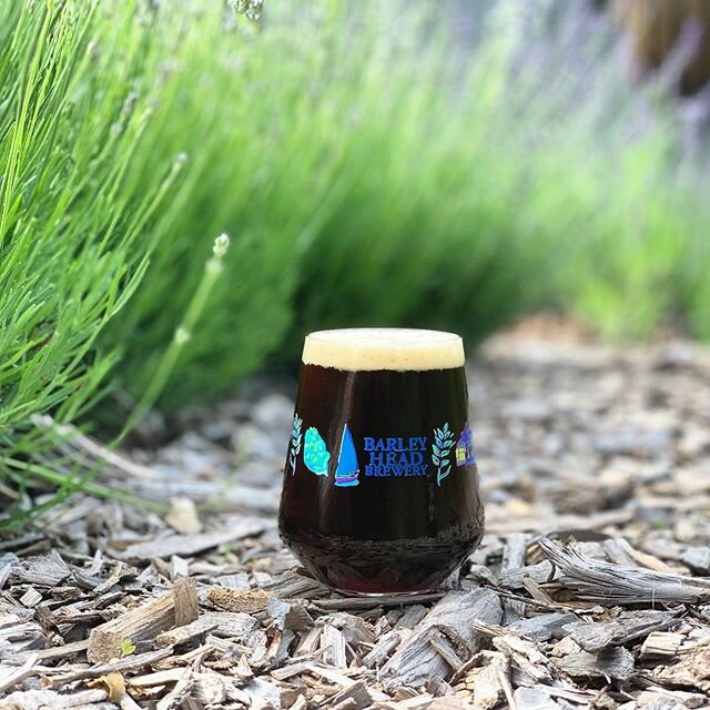 Did you know our Belgian style Dubbel, Mahogany Reef is back? Pick it up in cans or a growler to go at the brewery! #brewery #beer #nanobrewery #craftbeer #ctbeer #beerstagram #brew #mystic #mysticct #downtownmysticct #ct #connecticut