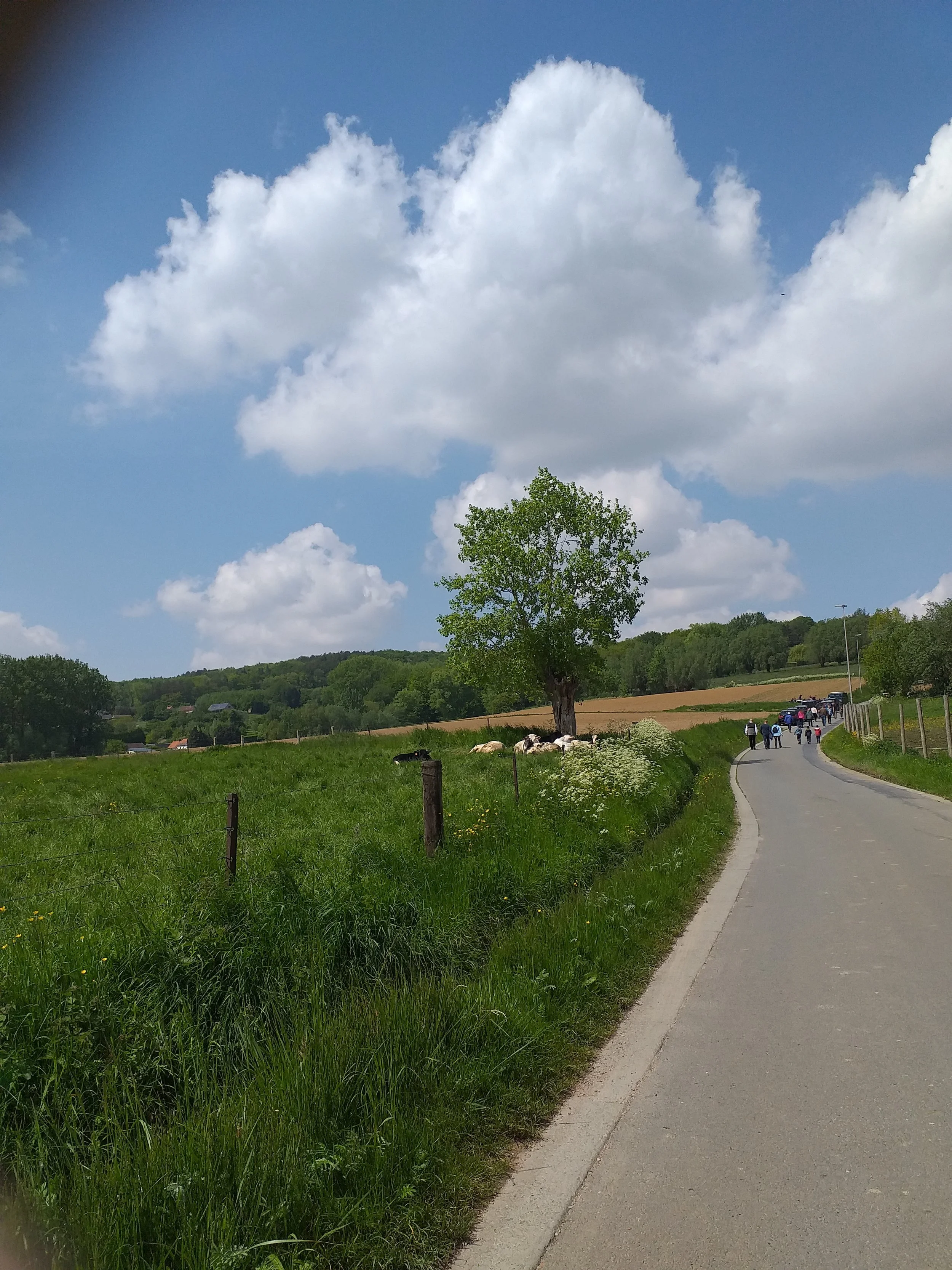 20190511_141704.jpg