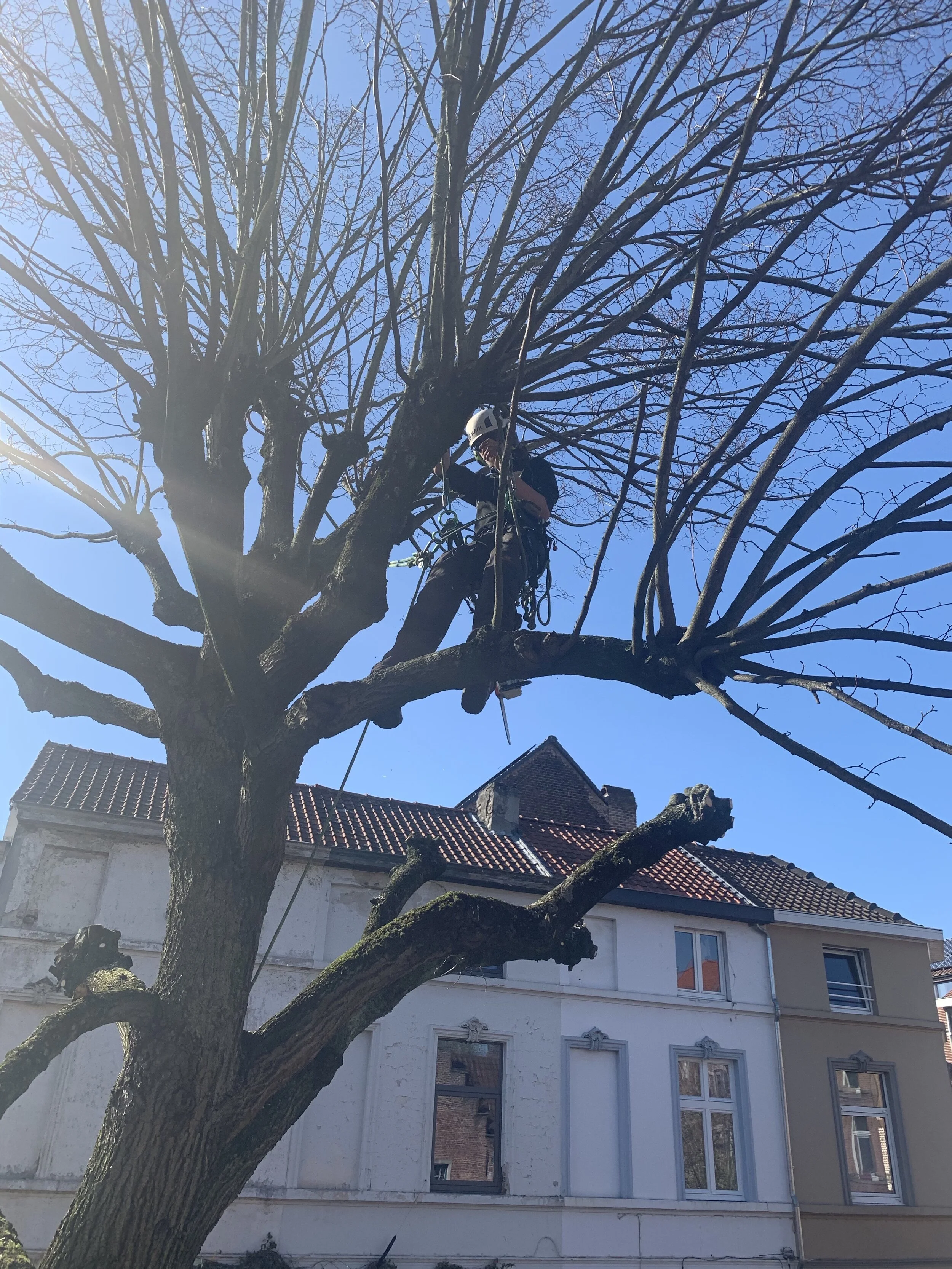 2kjycwimQnmDK6FQU%xoZQ.jpg