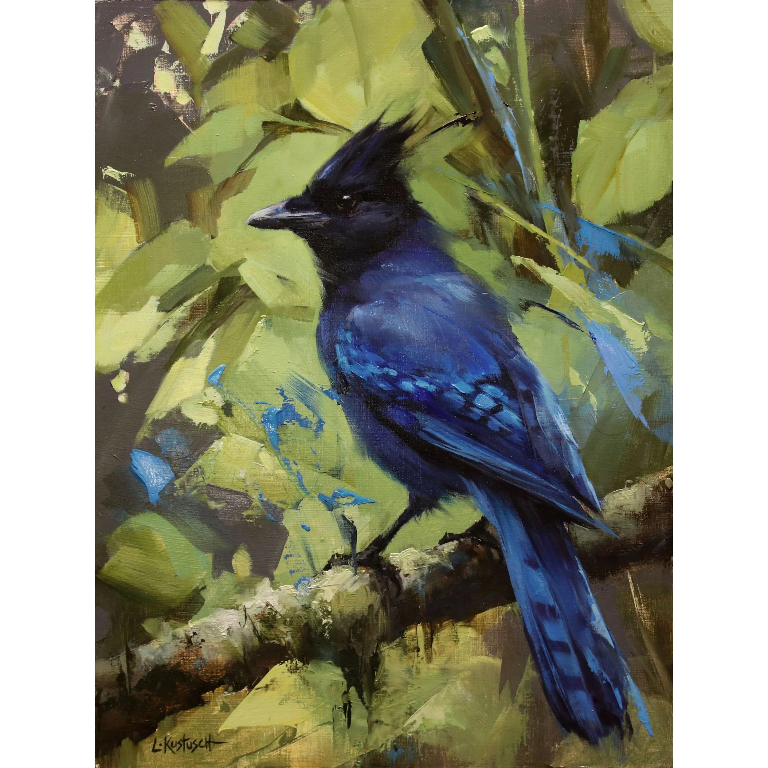The Steller Jay_12x9_studio sale_300dpi_square.jpg