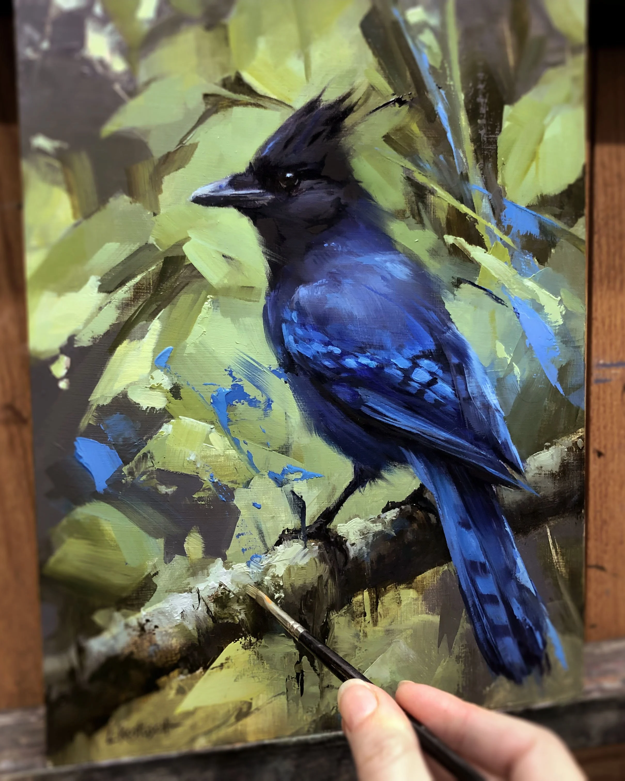 bluejay WIP - cropped.jpg