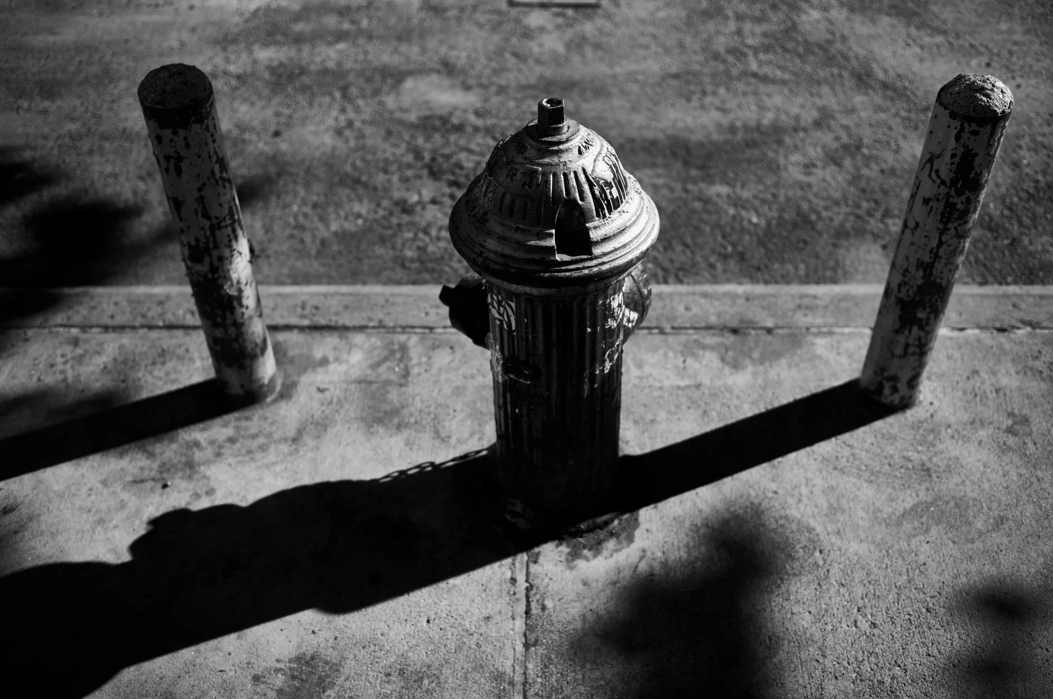 L1005559.jpg