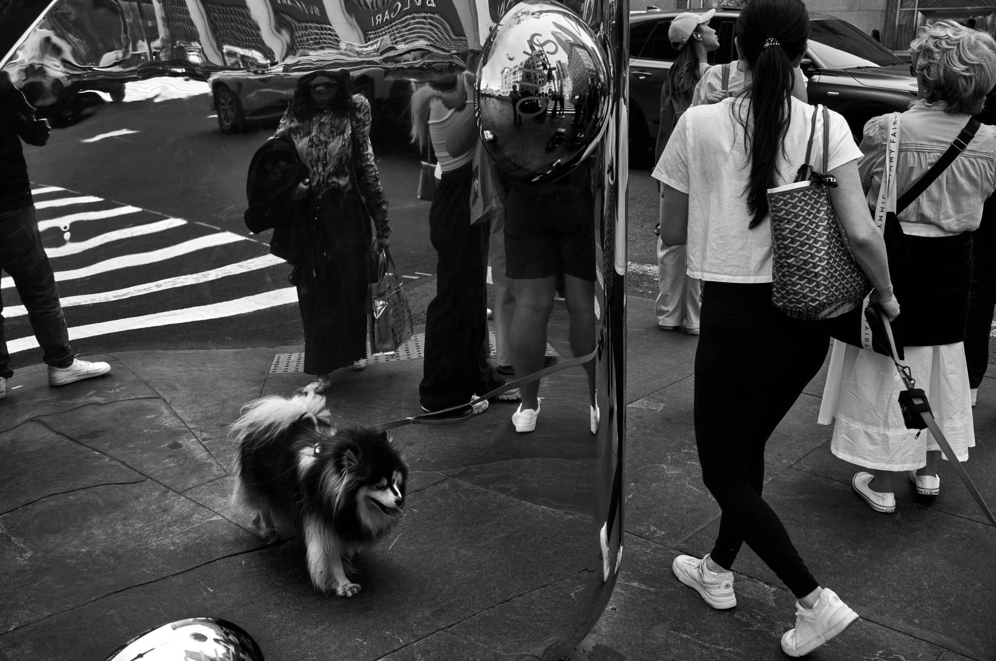 L1005762.jpg