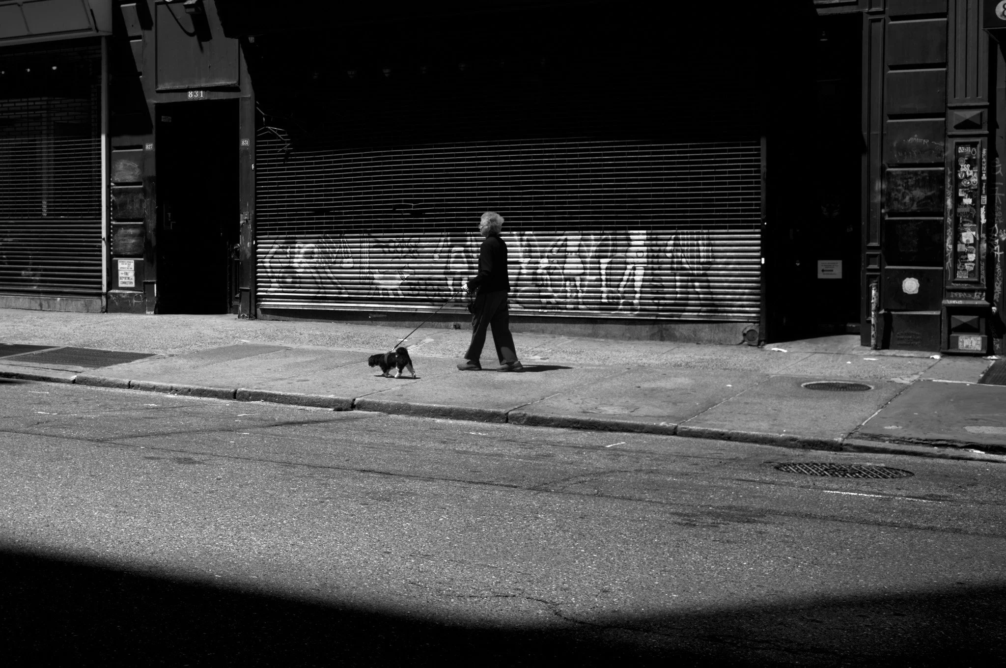 L1007232.jpg