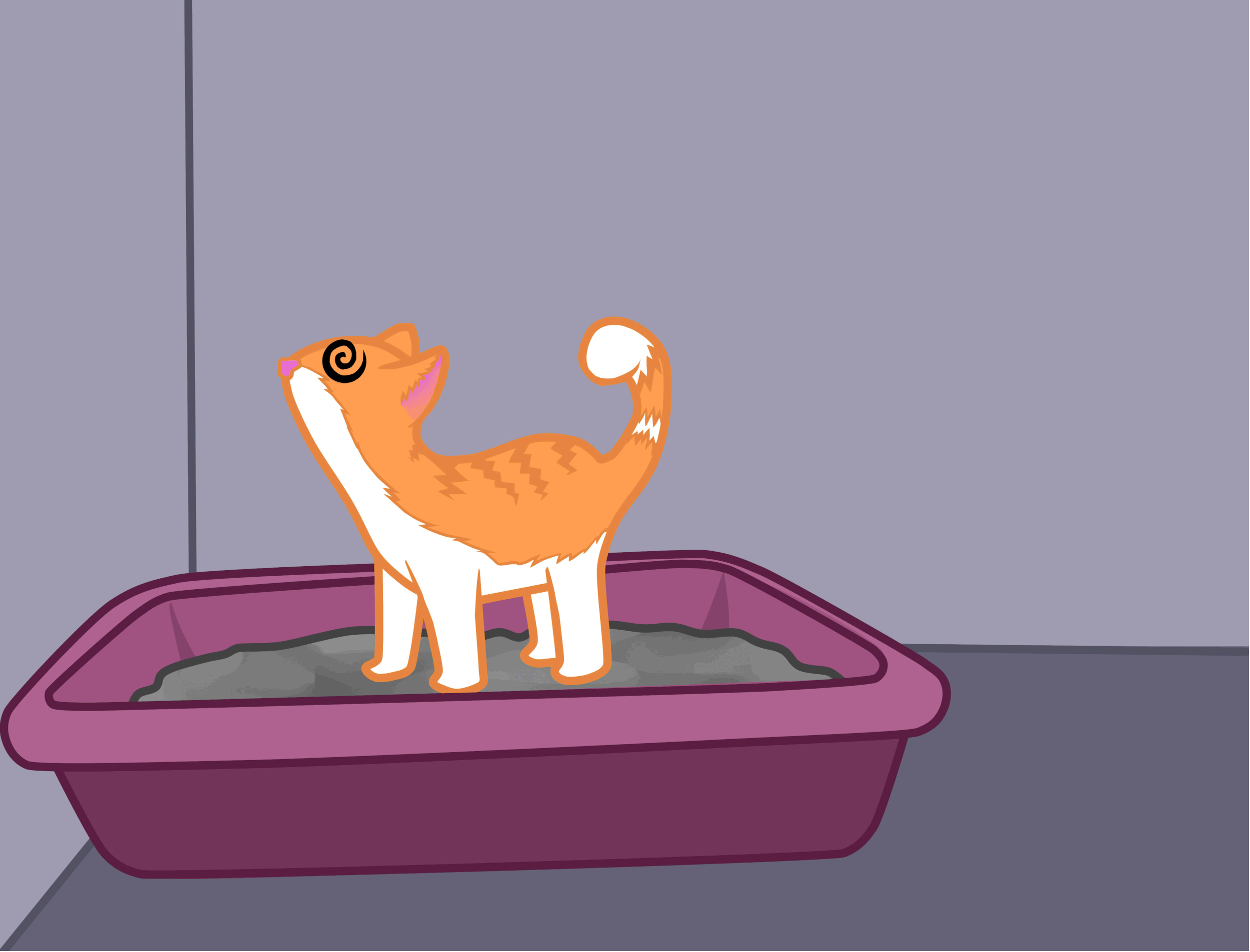CrazyCat.gif