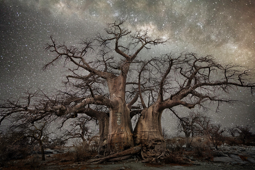 Beth Moon, Diamond Nights, 2014