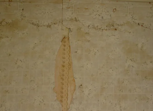 Finding Wyeth 12
