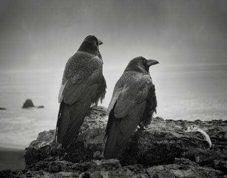 Beth Moon, Odin's Cove, 2012