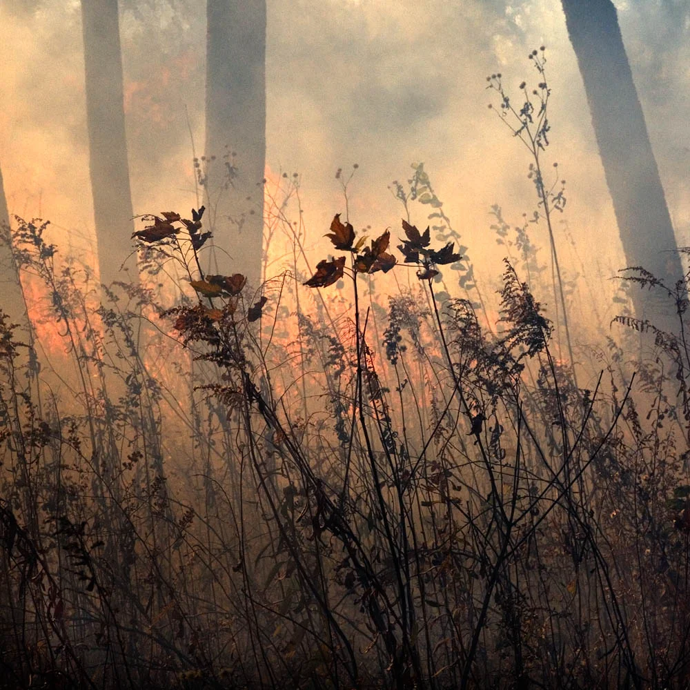 The Burn No.19