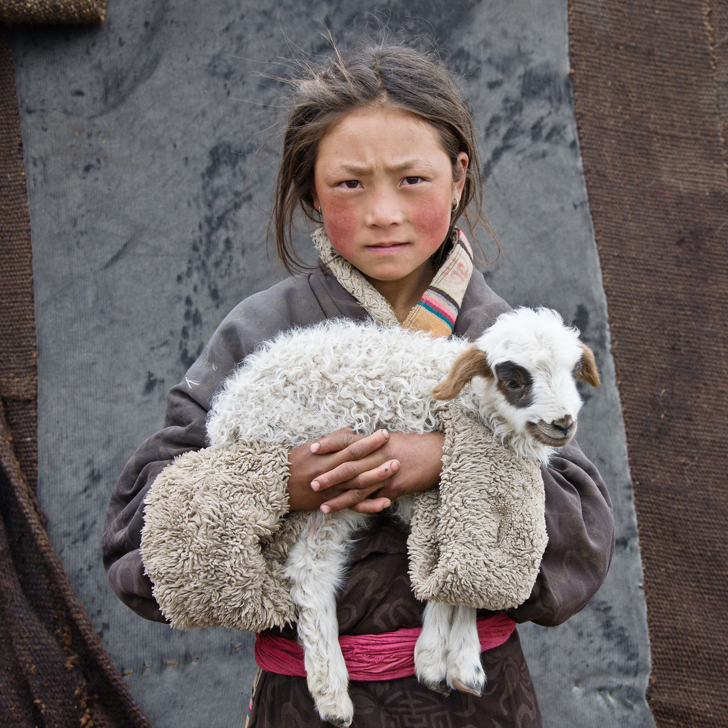 Yound Nomad With Lamb