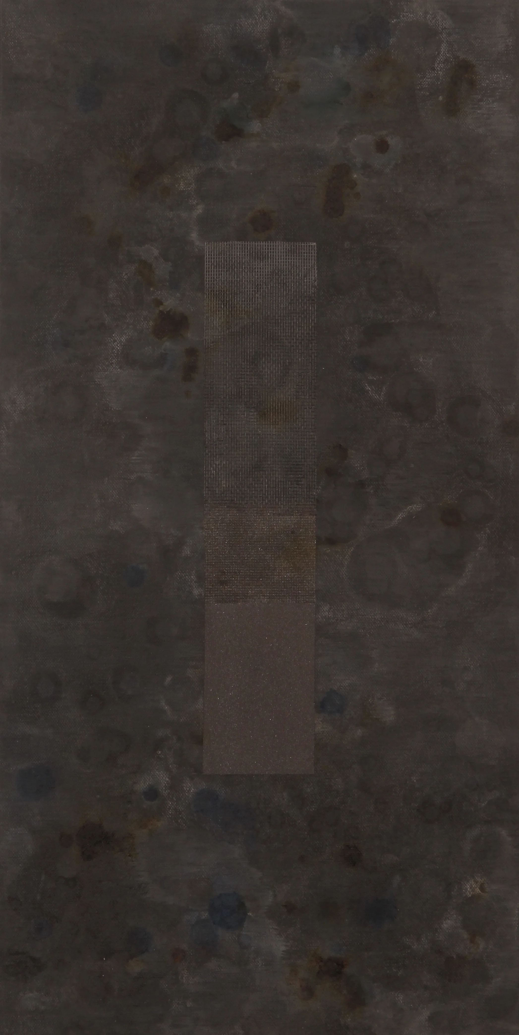 DW5C0073JKm.jpg