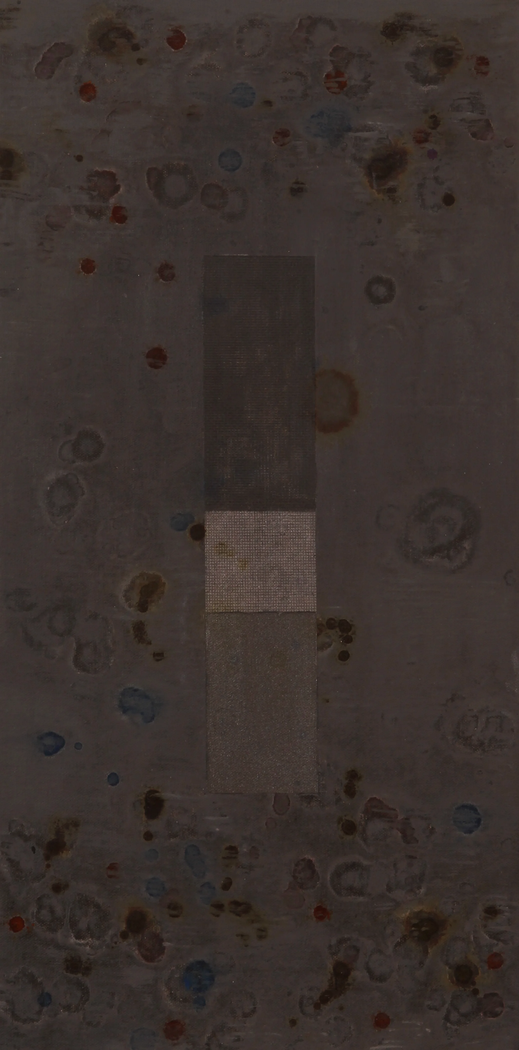 DW5C0076m.jpg