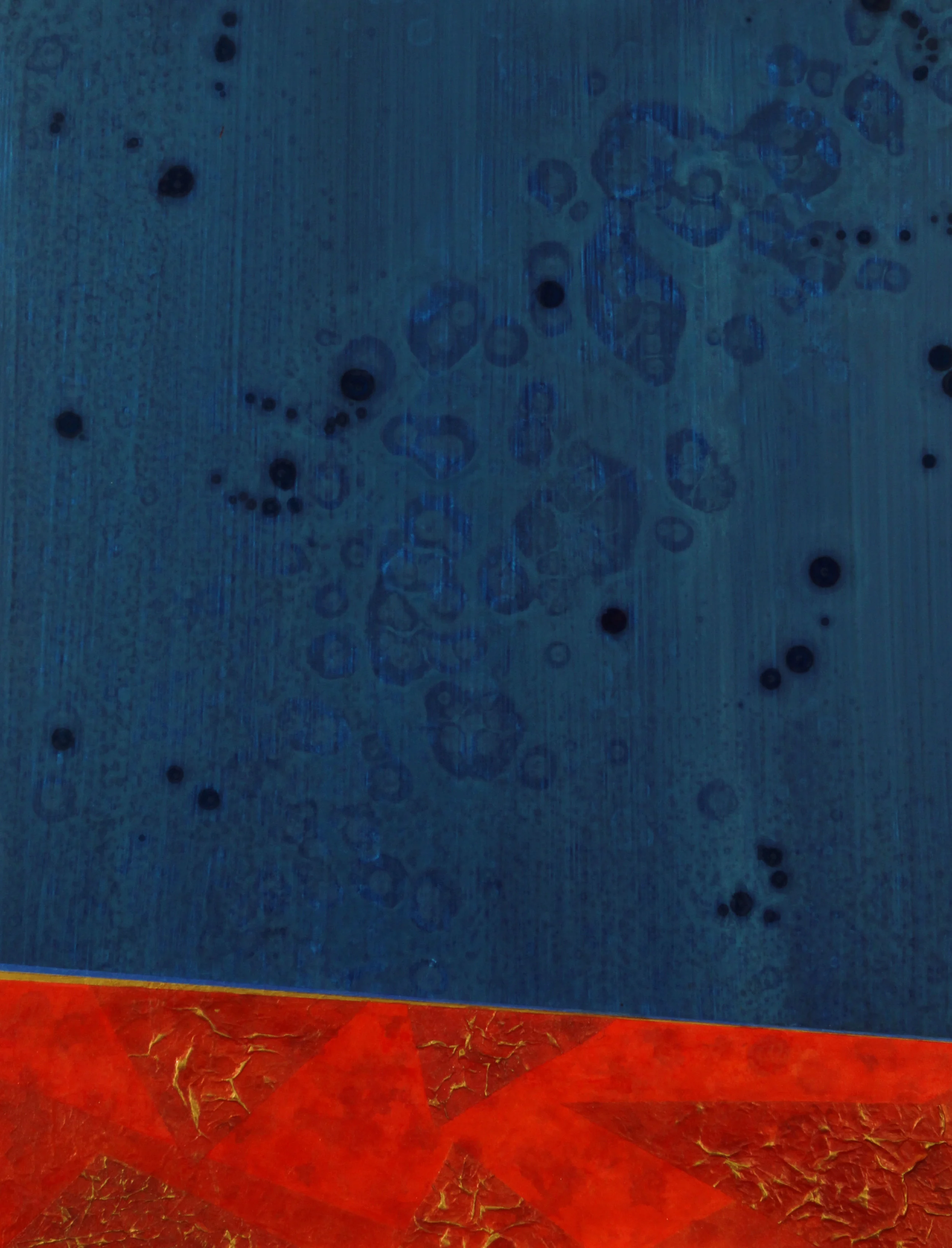 Untitled 53