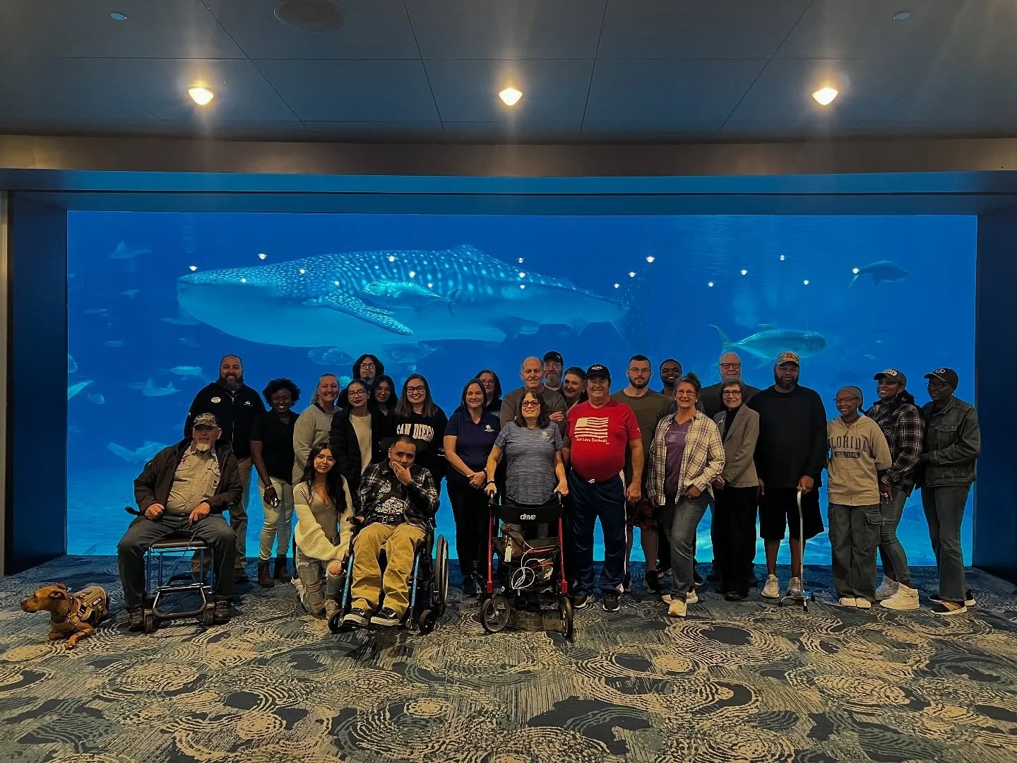 Twice, I got to join warriors from the Independence Program at a swim WWP with the whale sharks hosting by a program with the @georgiaaquarium 

And to see these men and women alongside these beautiful and elegant giants, was and is, beyond words.

S