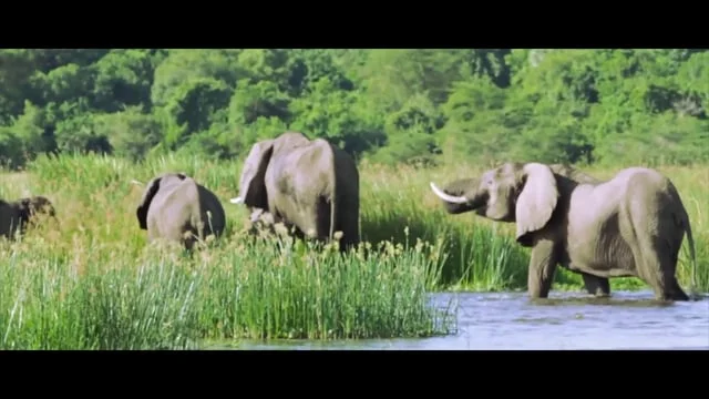 Fineas Reel 2014- fineasmedia.com