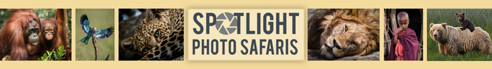 SPS Logo_Website_header_NEW.png