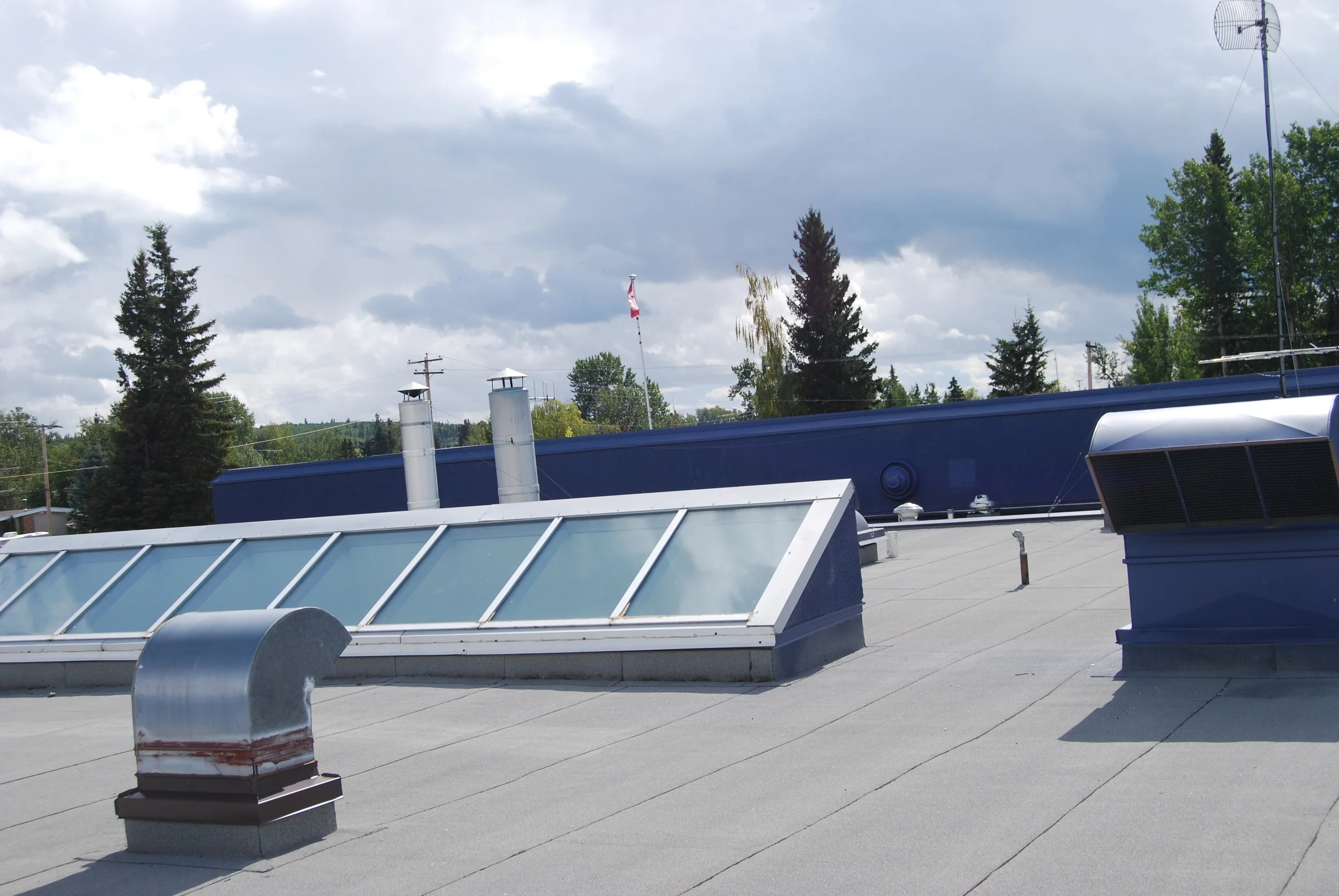 David Hoy DSC_3424.JPG