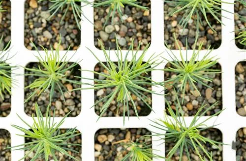 JD Little Forest Centre