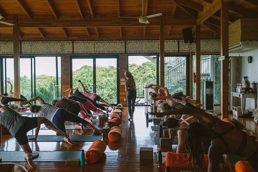 Group yoga class practicing downward dog pose in a bright, wooden-floored studio with large windows and views of trees outside.