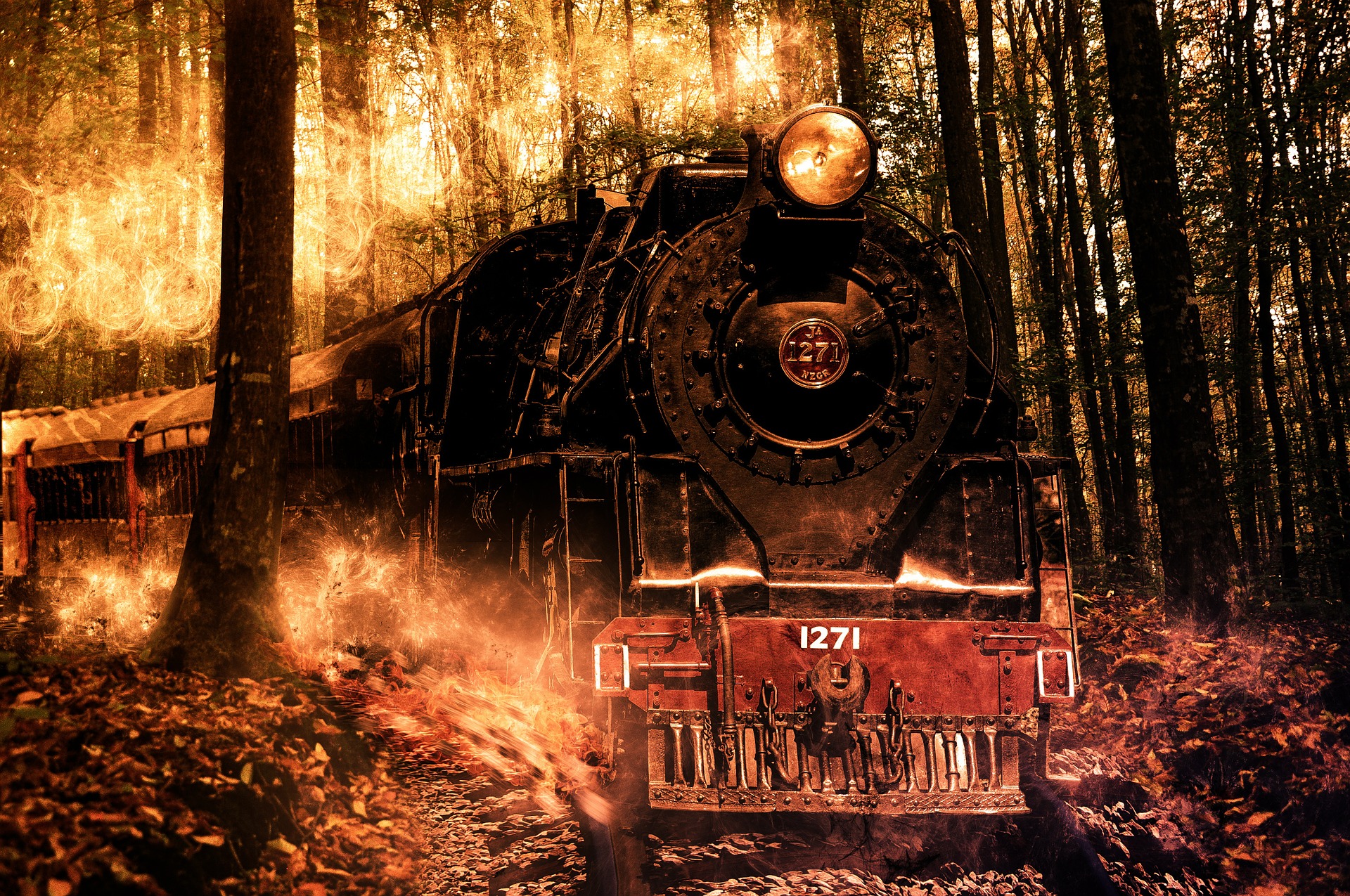 What if Hogwarts was a Naturalist Academy deep in the forest?