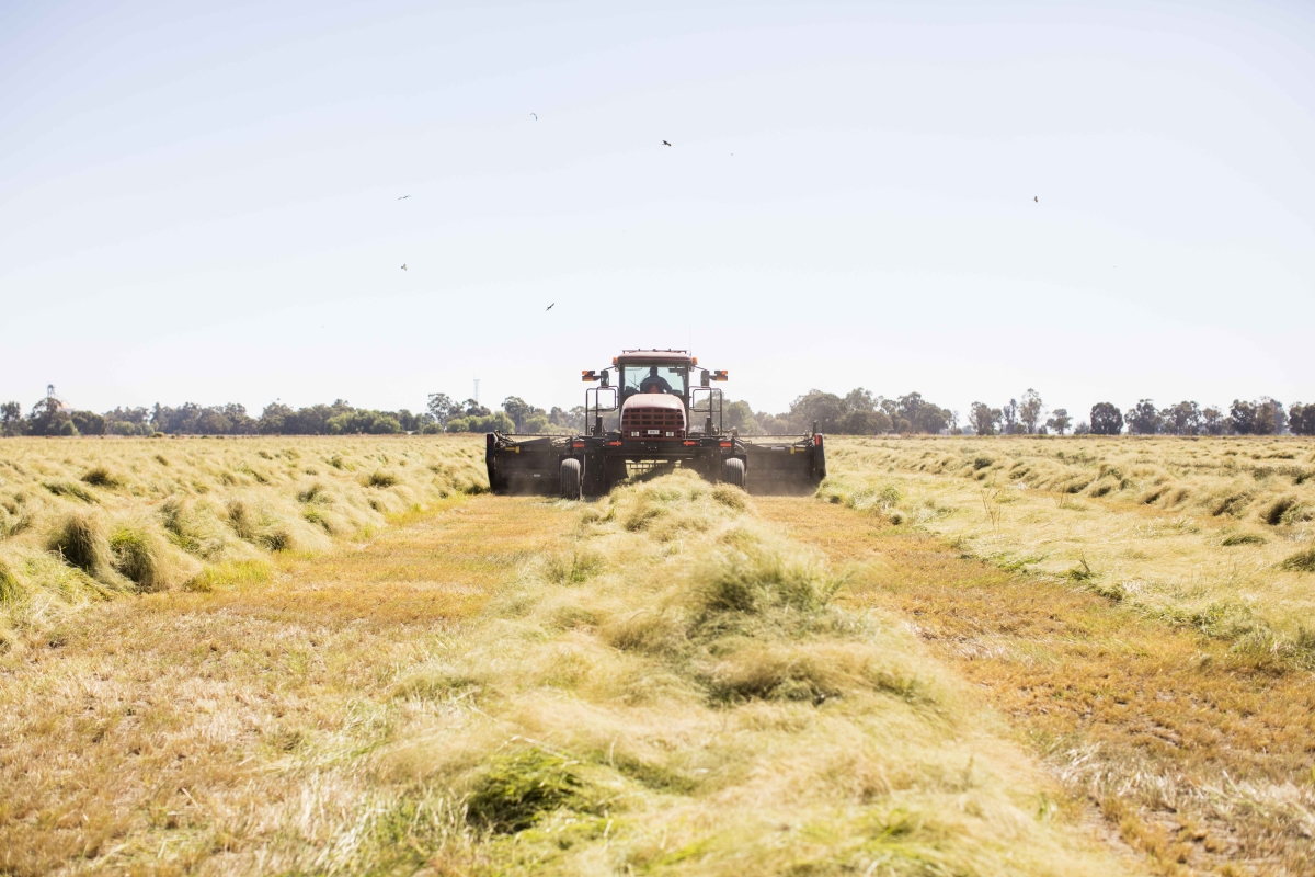 Optimized-OutbackGrainCo_189.JPG