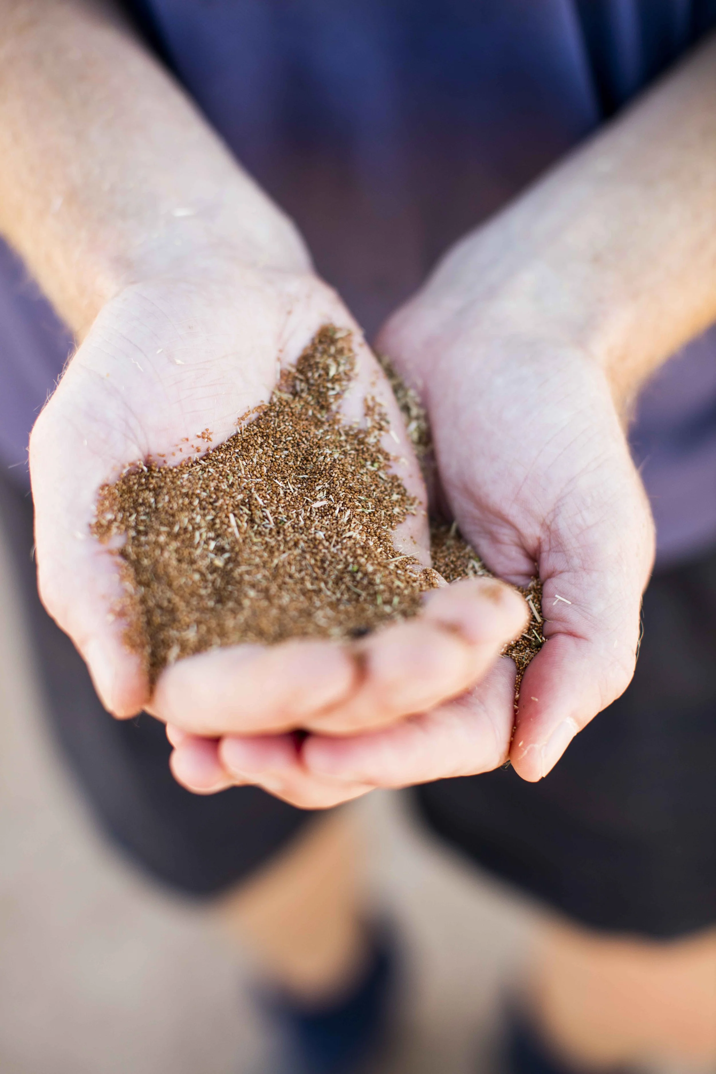 OutbackGrainCo_228.JPG