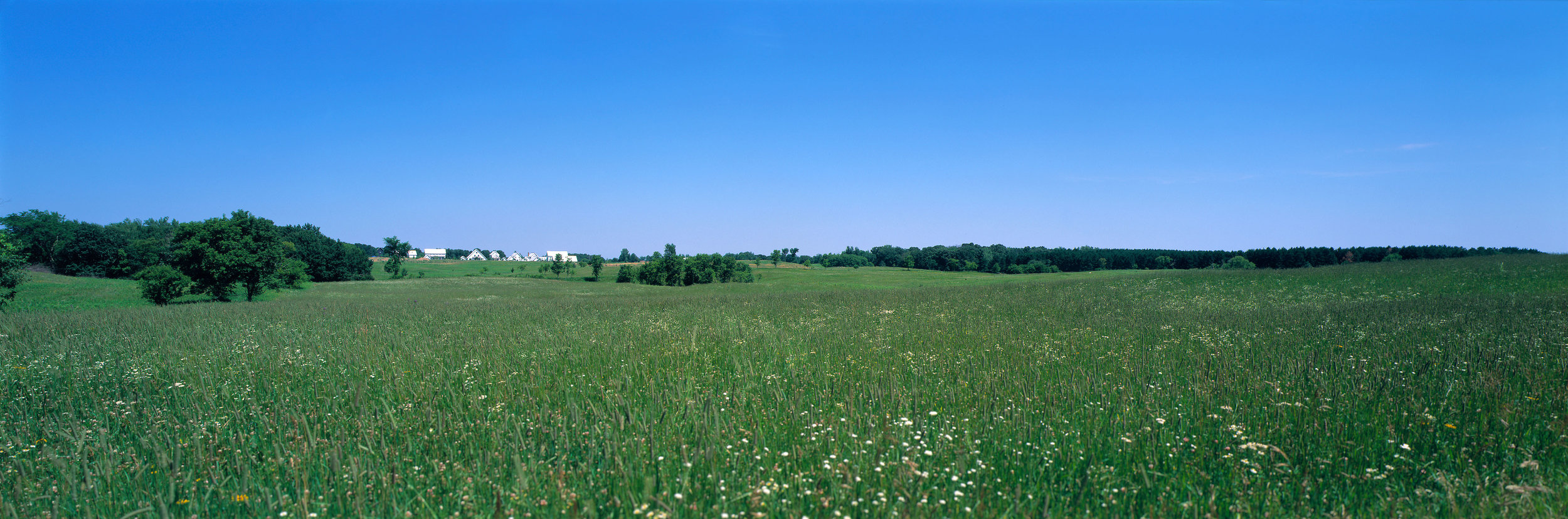 OVERVIEW_distant.jpg