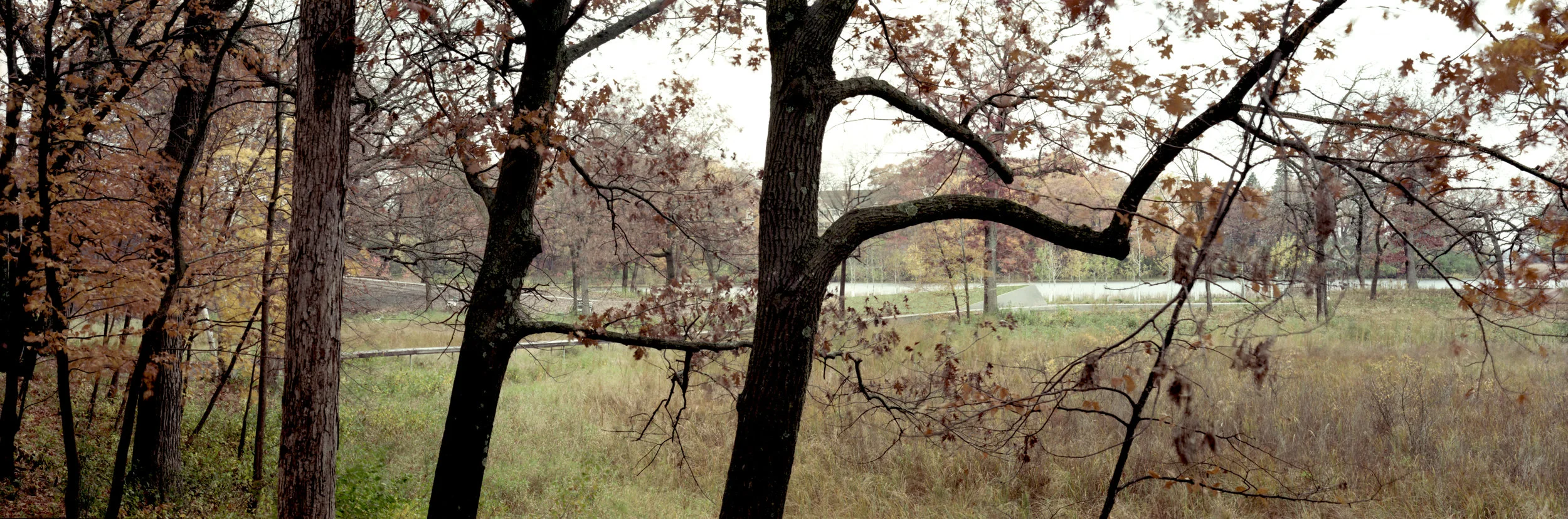 Lake Marion029_edit.jpg