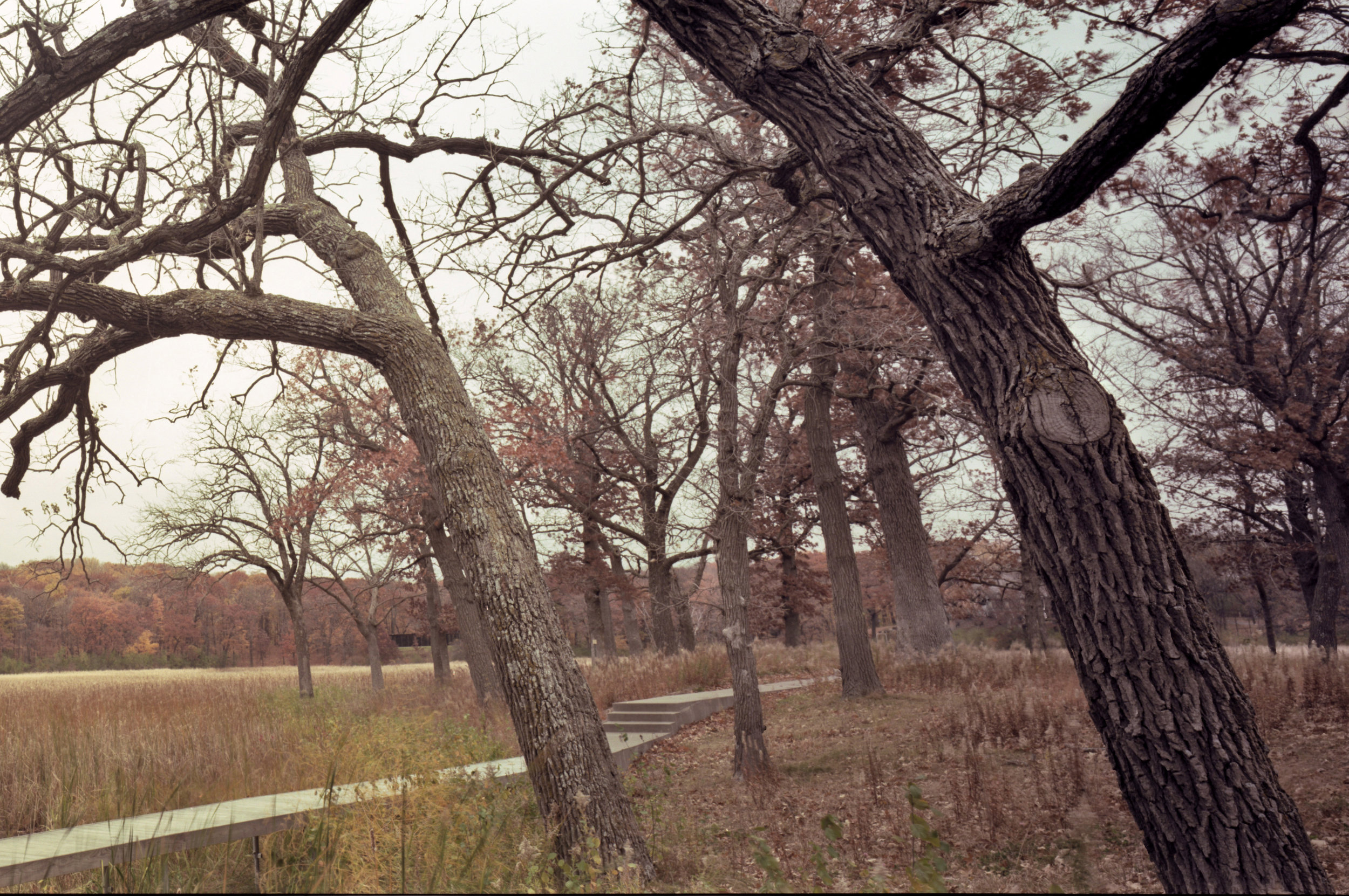 Lake Marion006_edit_web2.jpg