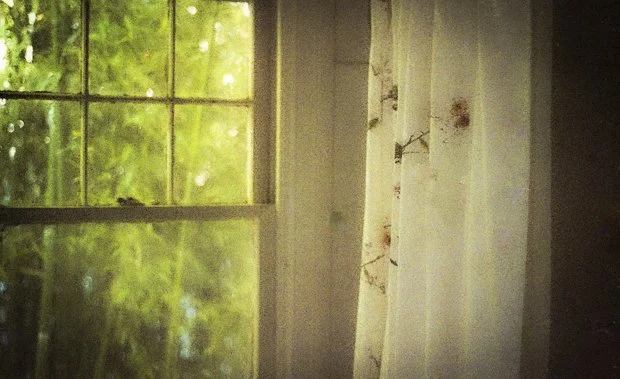 F Window web.jpg