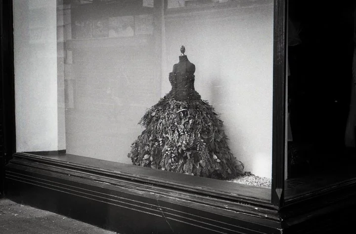 Haarlem Dress.jpg