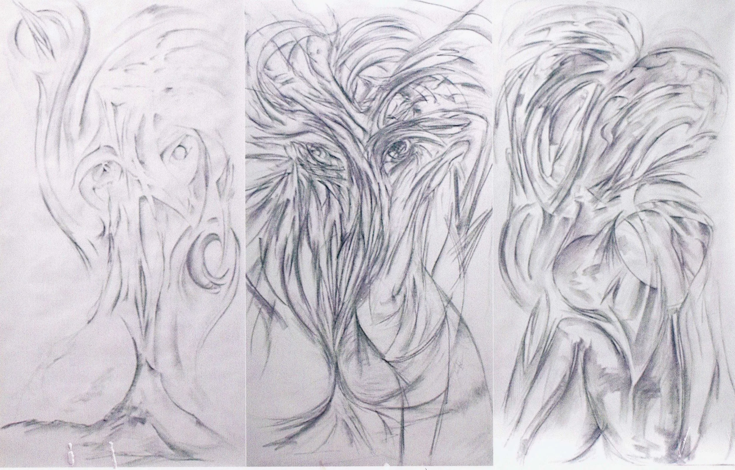 1999 large drawings.jpg