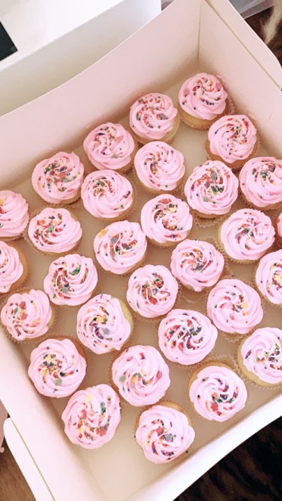 cupcakes1.jpg