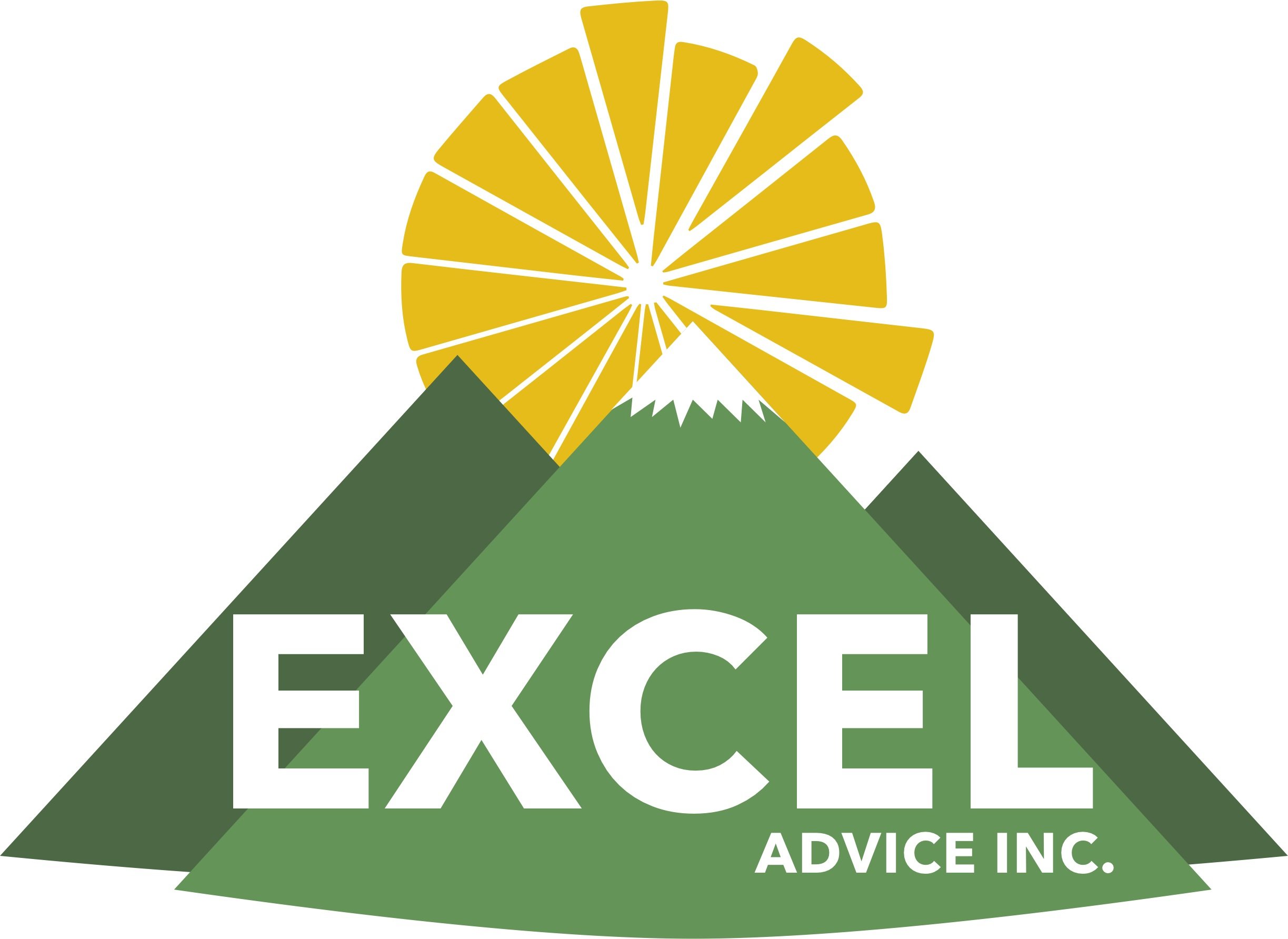 Excel Advice, Inc.