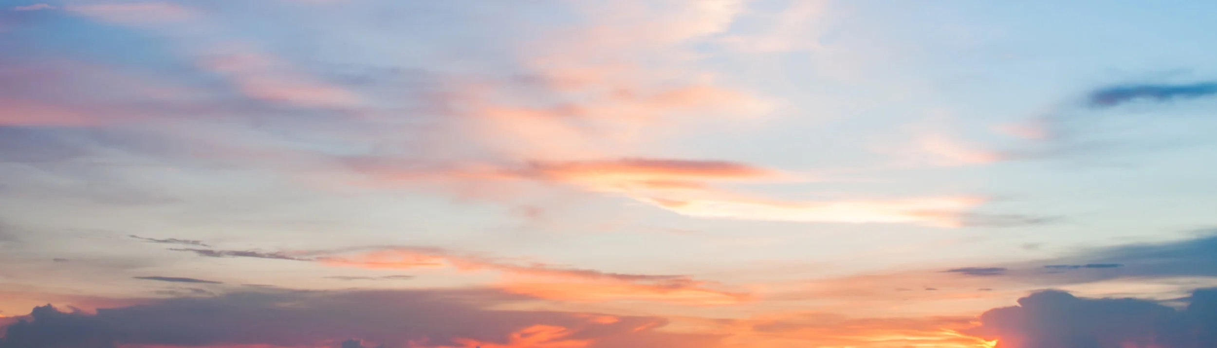 shutterstock_388049023.jpg