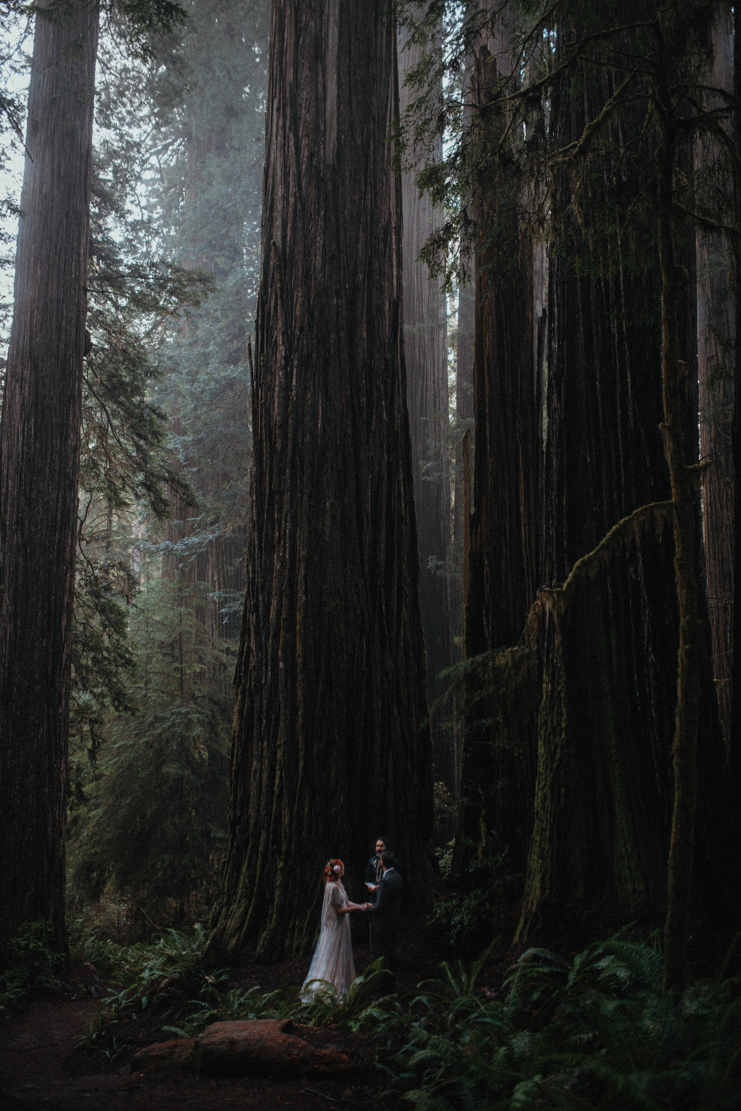 Intimiate Redwoods Elopement , Elopement Inspiration, Jessica Heron Images, Northern California Elopement, Oregon Elopement, Oregon Wedding, Elopement Ideas, Oregon Wedding, Redwoods Ceremony