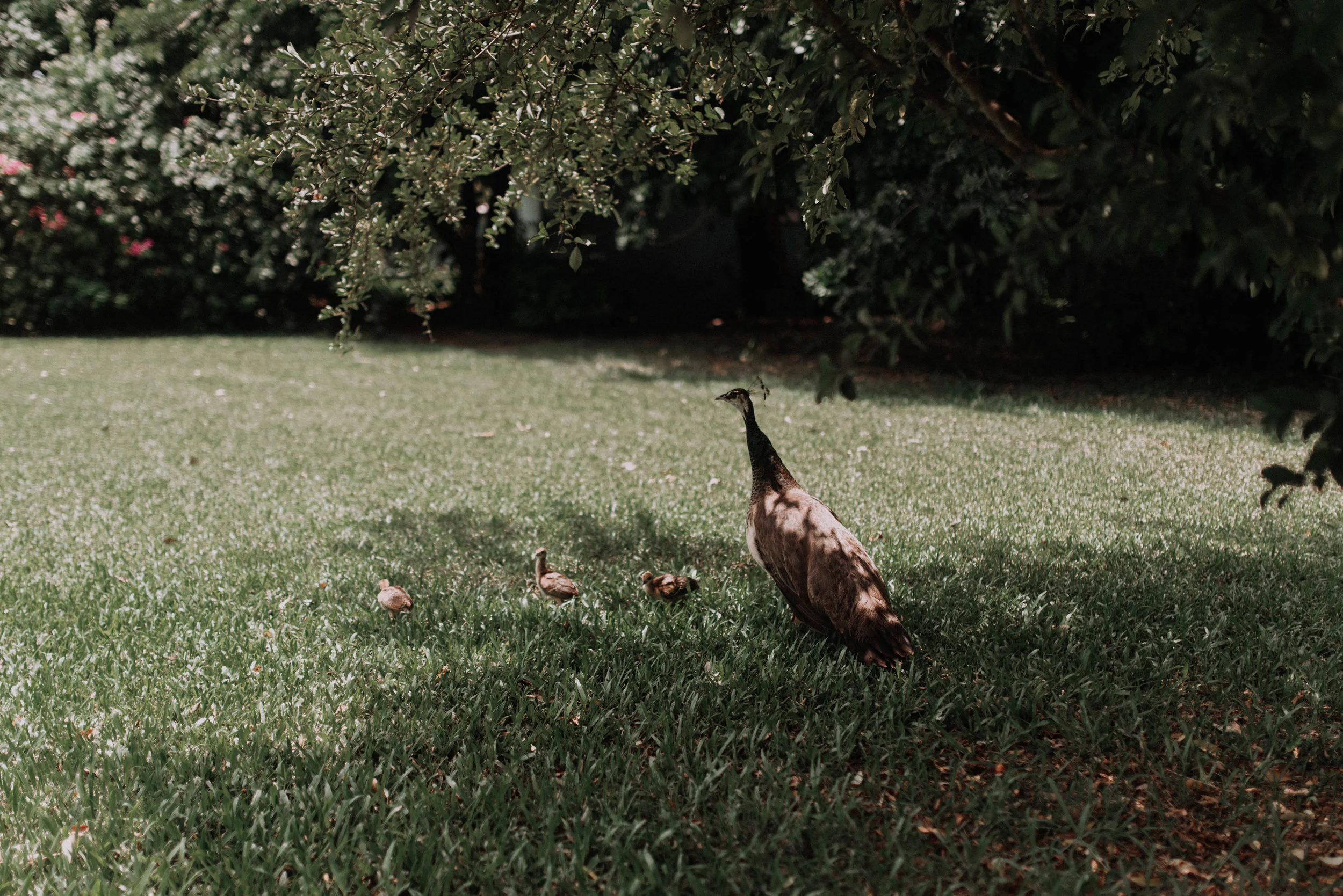 Getting Ready 003.JPG