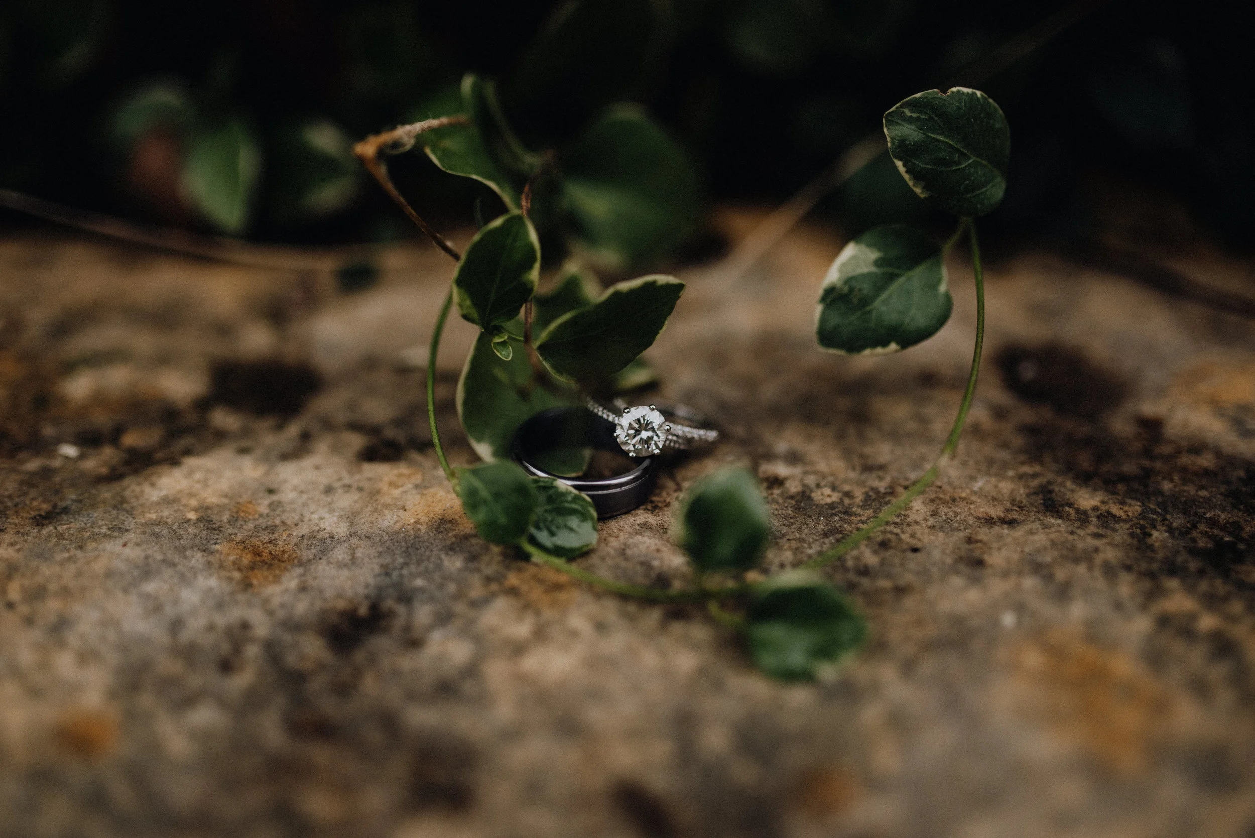 Getting Ready-15.JPG