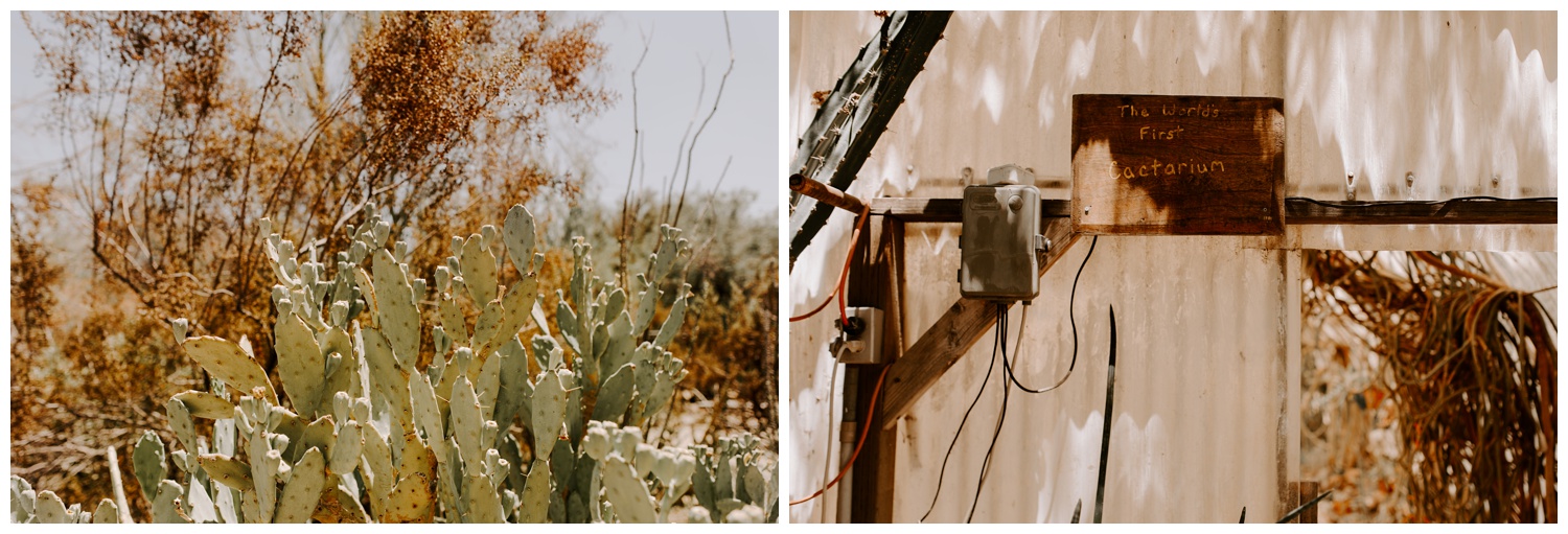 Salvation Mountain Elopement Palm Springs Pink Hair Bride - Jessica Heron Images_0160.jpg