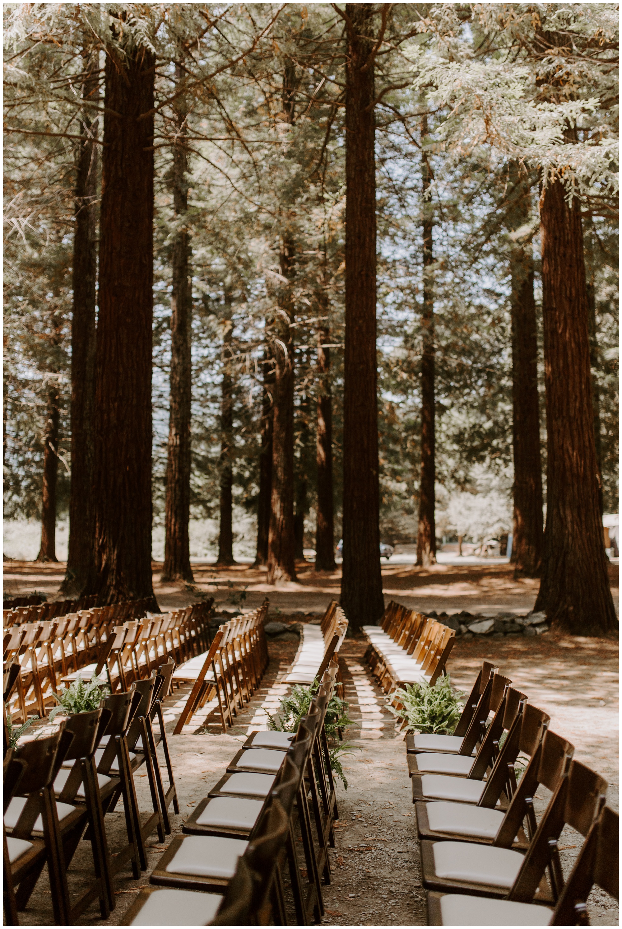 Redwood Festival Wedding Humbolt California - Jessica Heron Images_0026.jpg