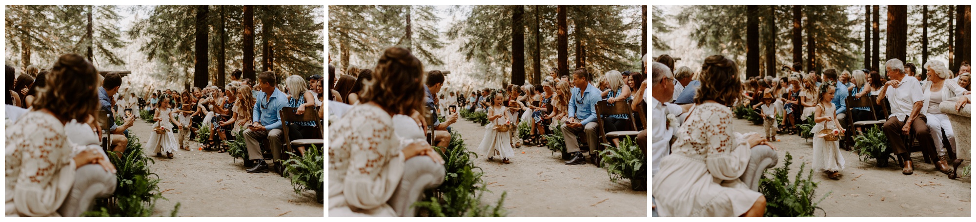 Redwood Festival Wedding Humbolt California - Jessica Heron Images_0032.jpg