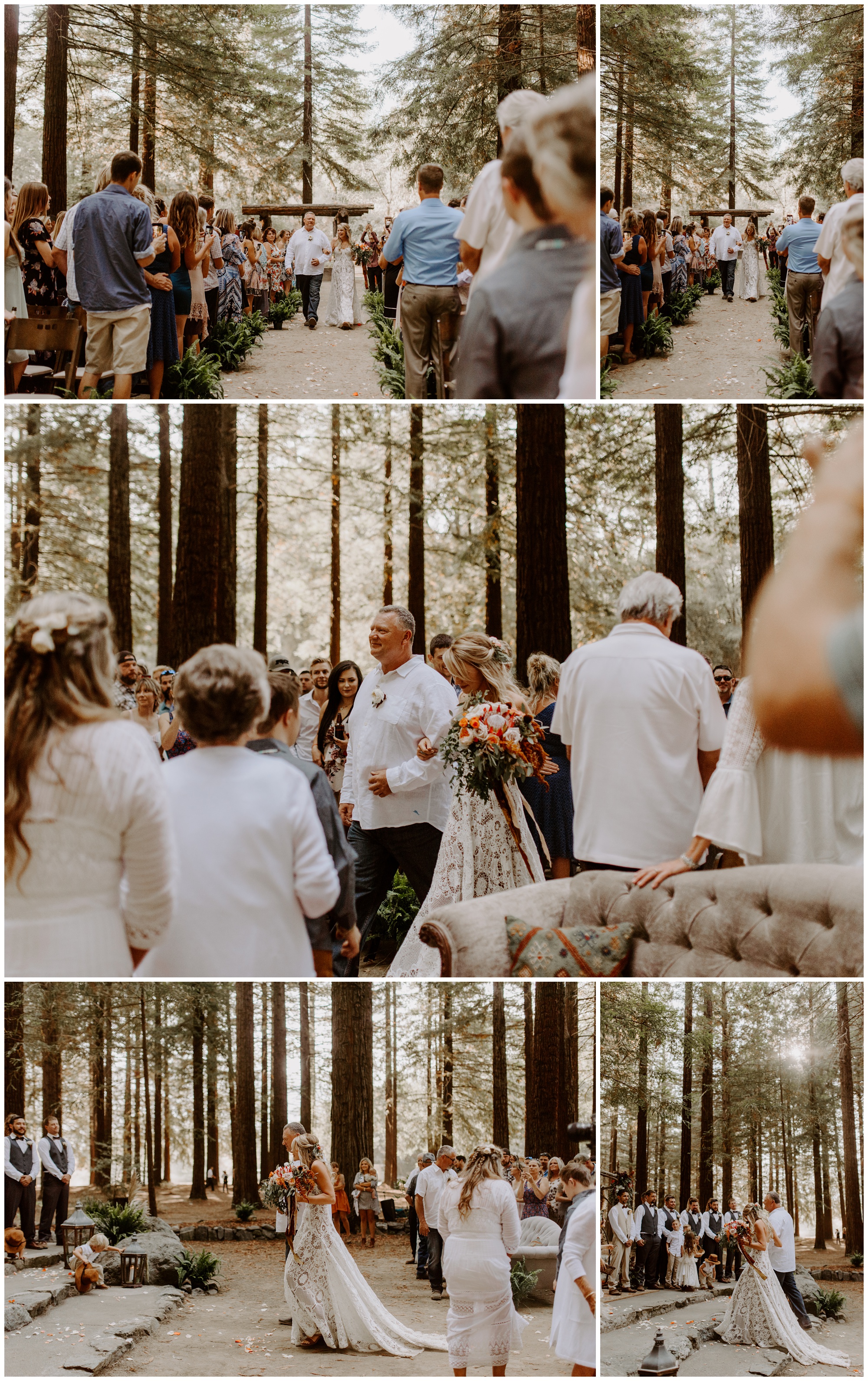 Redwood Festival Wedding Humbolt California - Jessica Heron Images_0036.jpg