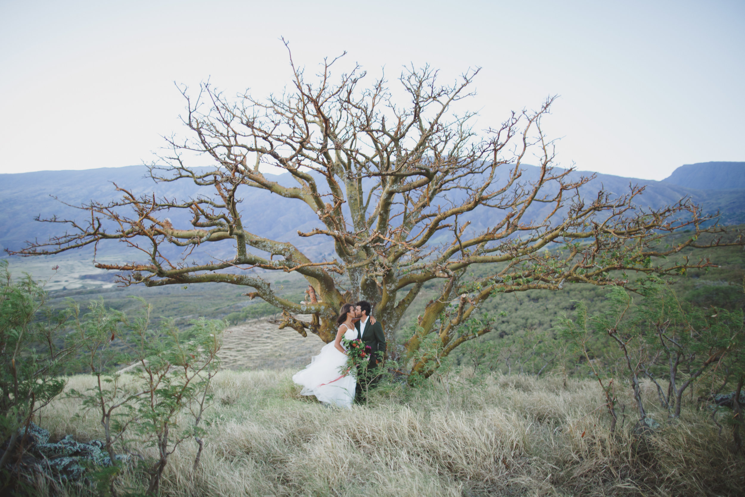 Chantelle and Joel (250 of 347).jpg