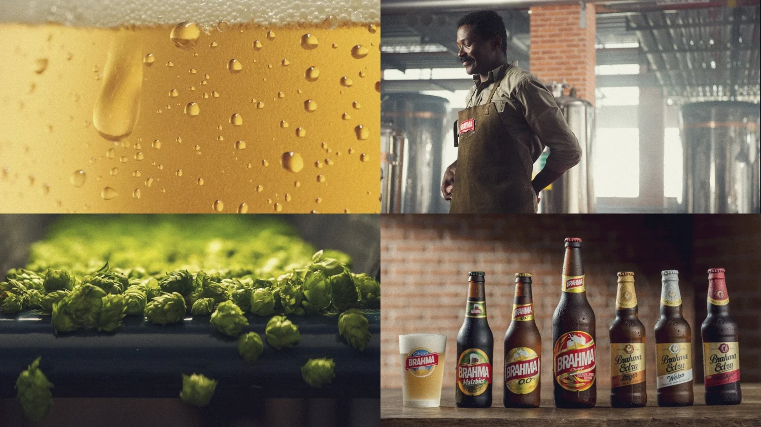  That's why we needed to talk about the quality of Brahma's production and how good this beer is. 