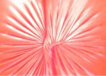 Breathwork & Bumholes