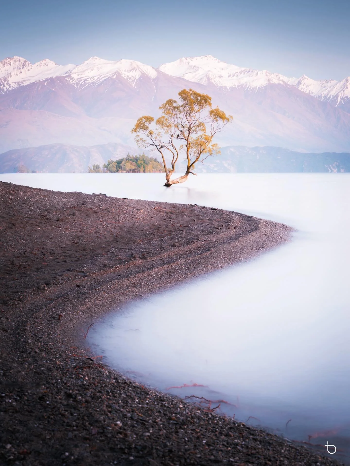 Leading lines draw the eye straight to the iconic lone Wanaka Tree. Difficult to hold this spot with a few photographers stepping in front. Do you prefer Colour or Black and White?
.
.
.
#wanakatree #thatwanakatree #wanaka #lakewanaka #wanakasunrise 