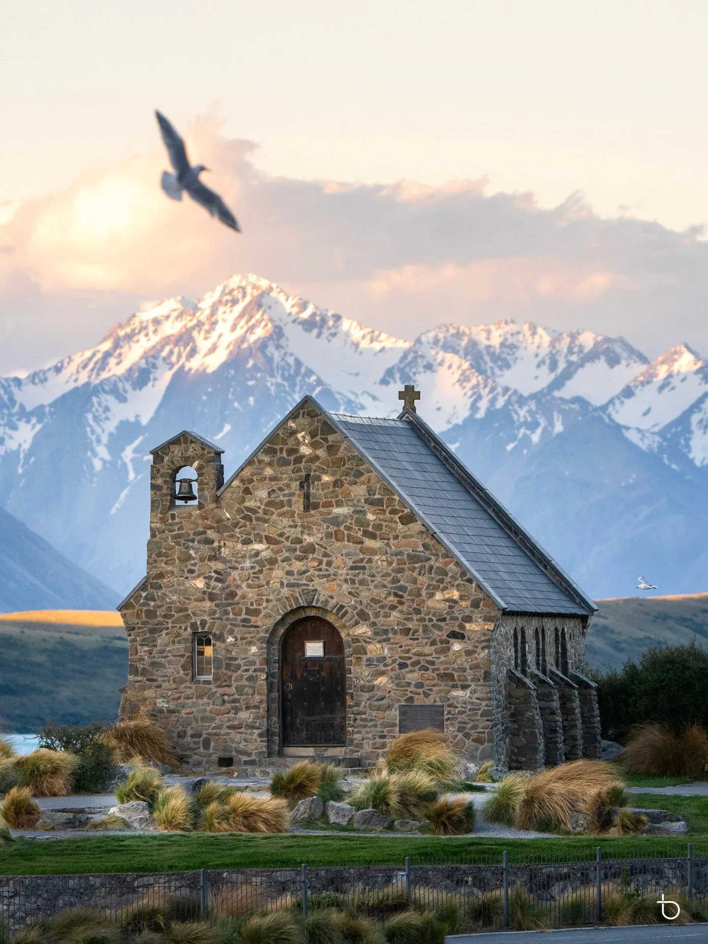 The beautiful Church of the Good Shepherd with a stunning mountain backdrop. Got lucky with the timing of these birds.
.
.
.
#LakeTekapo, #ChurchOfTheGoodShepherd, #NewZealandScenery, #NZLandscape, #ExploreNZ, #NZMustDo, #SouthernAlps, #MountainViews